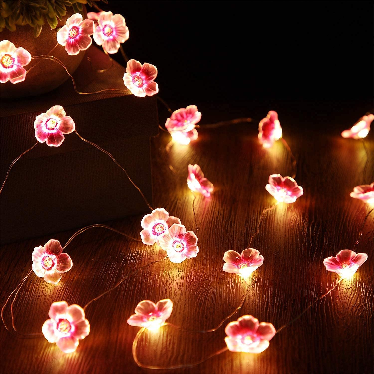 Leuchtende rosa Kirschblüten-Lichterkette auf einer dunklen Holzoberfläche neben einer Schachtel.