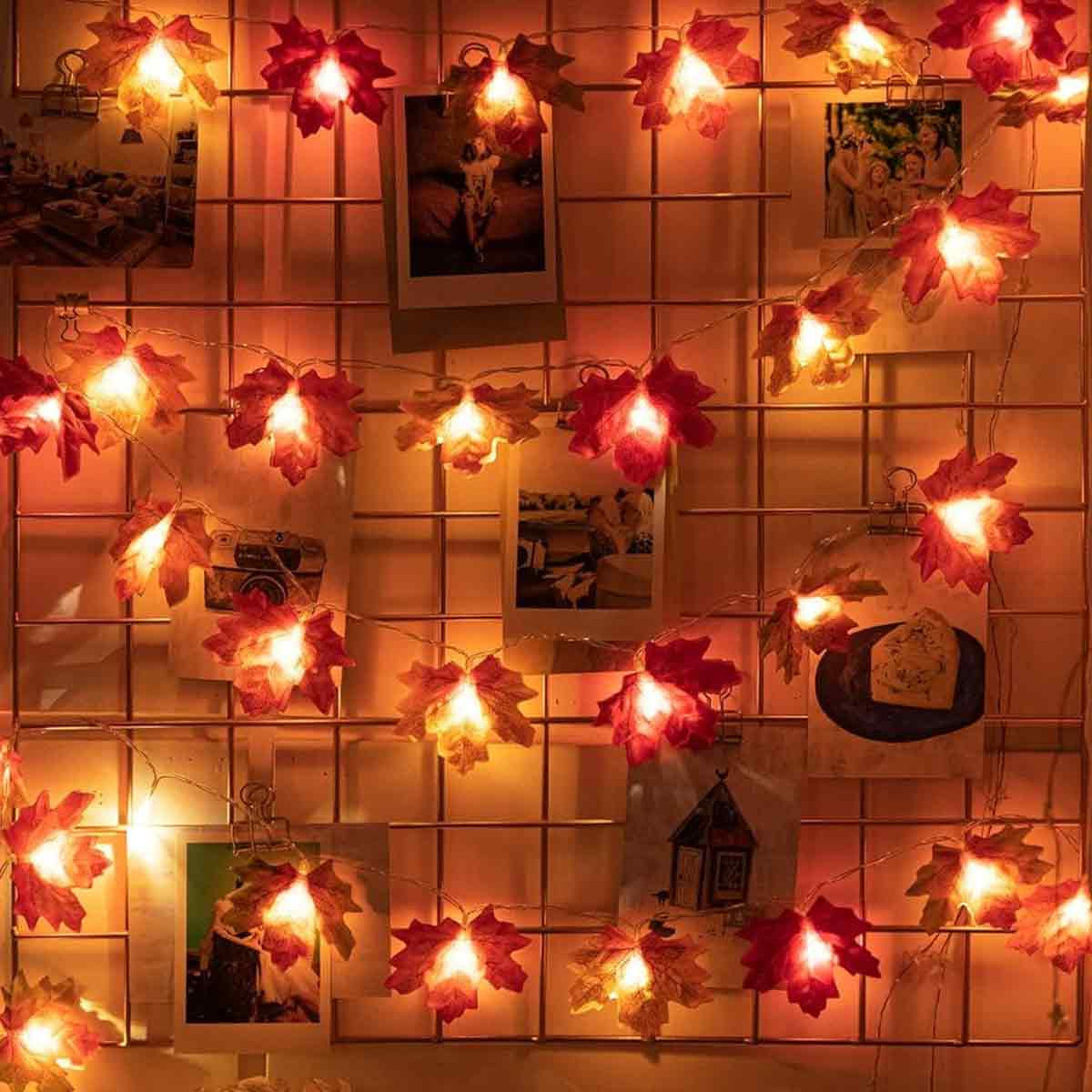 Ein Drahtgitter mit warm leuchtenden Ahornblatt-Lichterketten und mehreren Polaroid-Fotos.