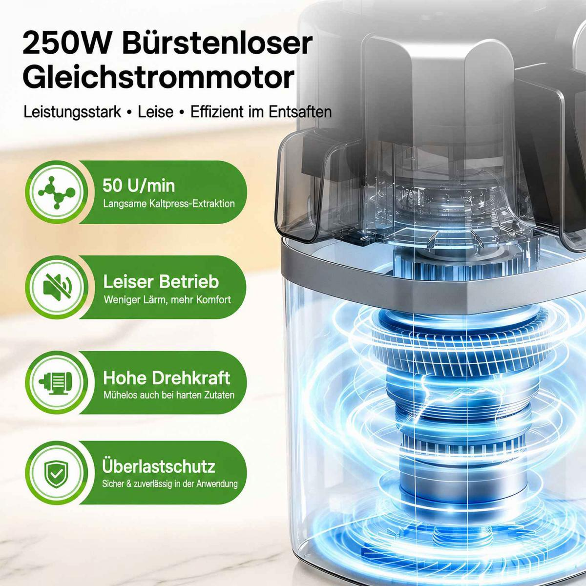 Produktgrafik zeigt einen 250W bürstenlosen Gleichstrommotor mit vier grünen Infoboxen zu Leistung, Lautstärke und Schutz.