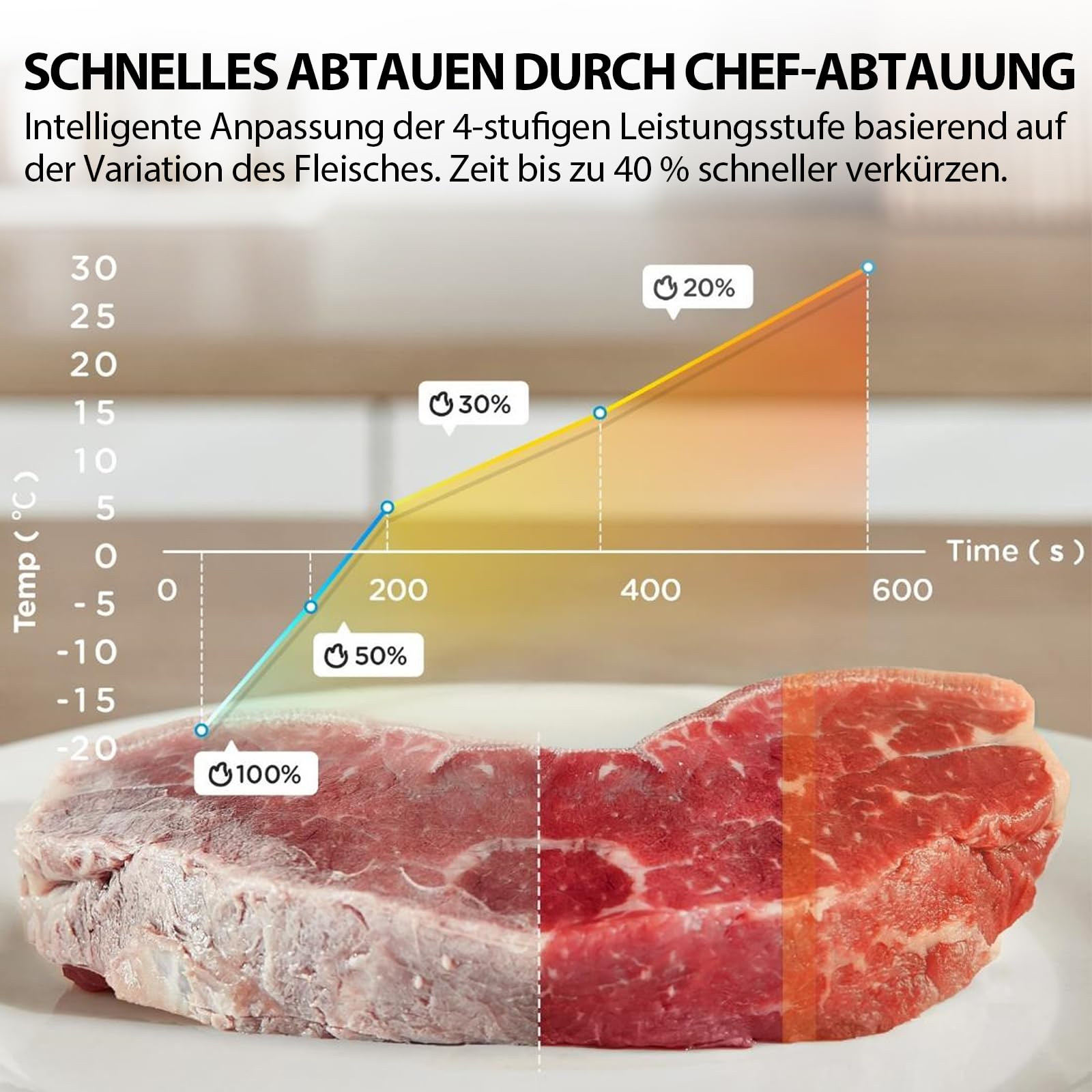 Un graphique montrant le temps et la température de décongélation de la viande avec un steak.