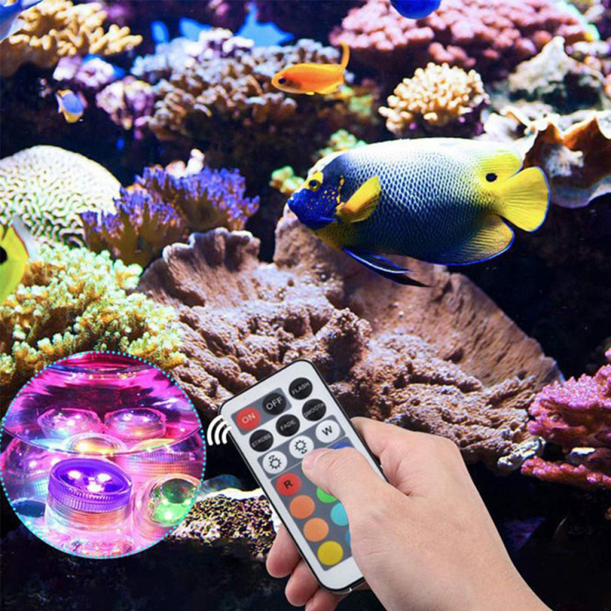 Eine Hand hält eine Fernbedienung vor ein Korallenriff-Aquarium, mit einem Einsatz, der leuchtende LEDs zeigt.