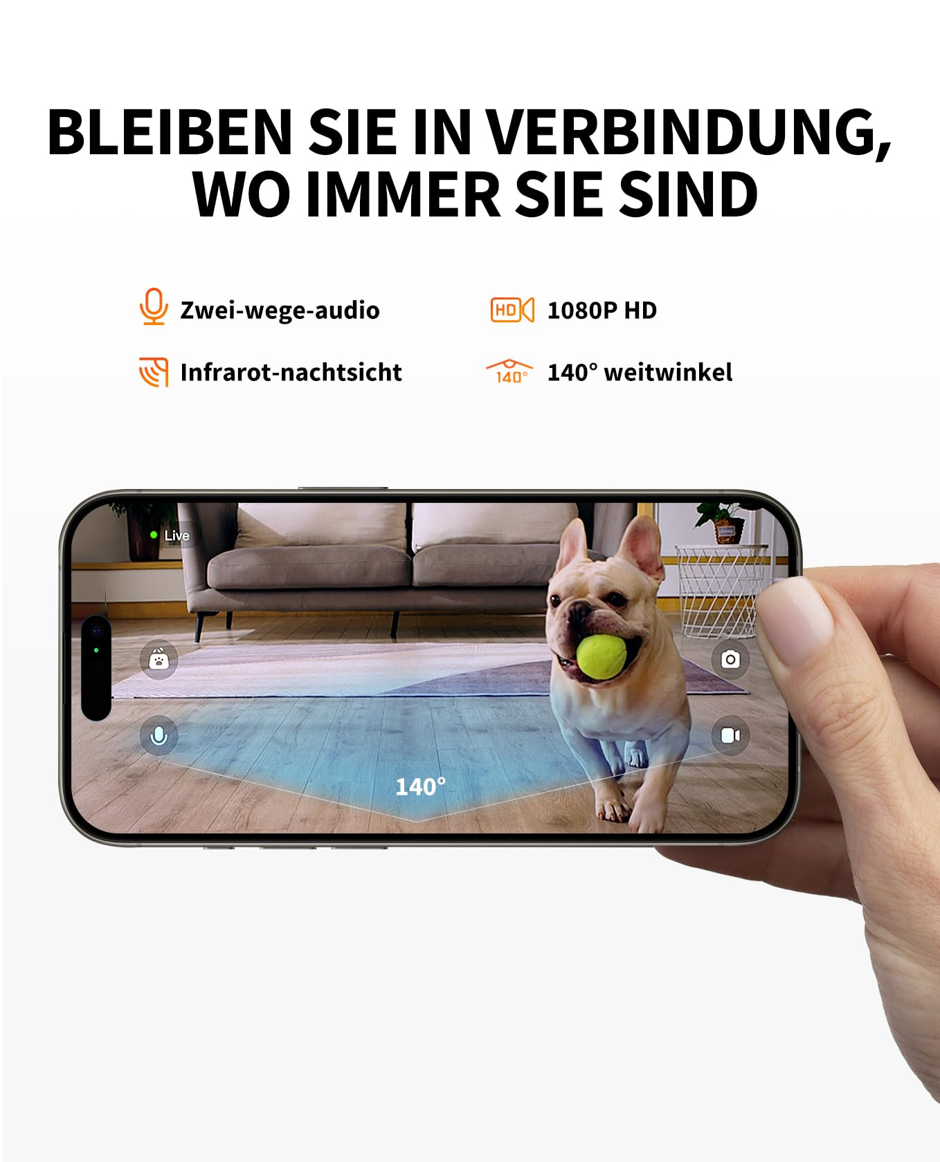 Un téléphone affiche le flux vidéo d'un bouledogue français avec une balle, mettant en avant l'audio et la HD.