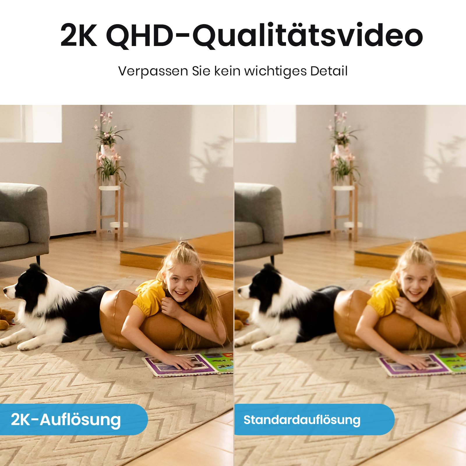 Image comparative : fille avec chien sur tapis, à gauche en résolution 2K nette, à droite en résolution standard.