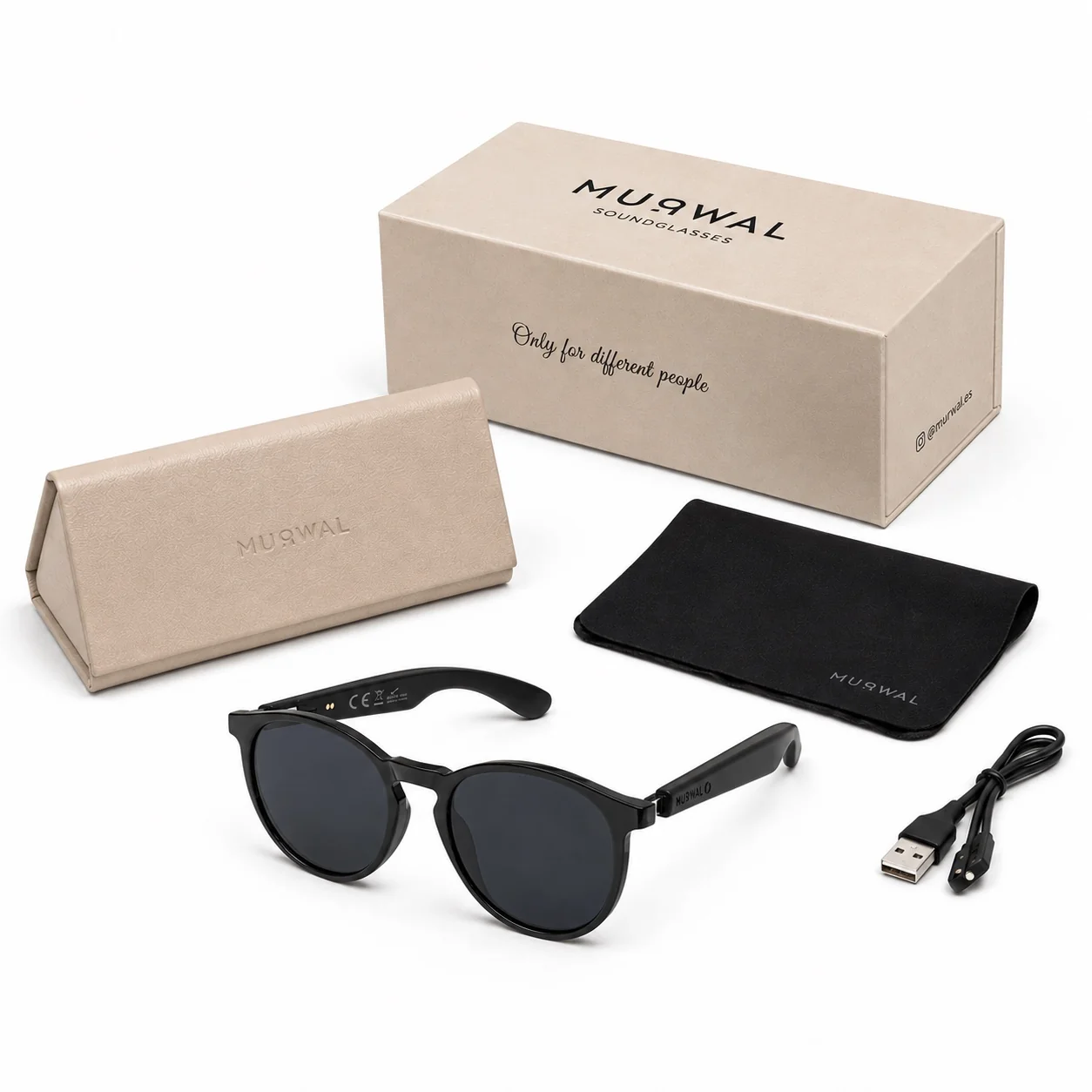 Gafas de sonido negras con estuche, caja, paño de limpieza y cable de carga en fondo blanco.