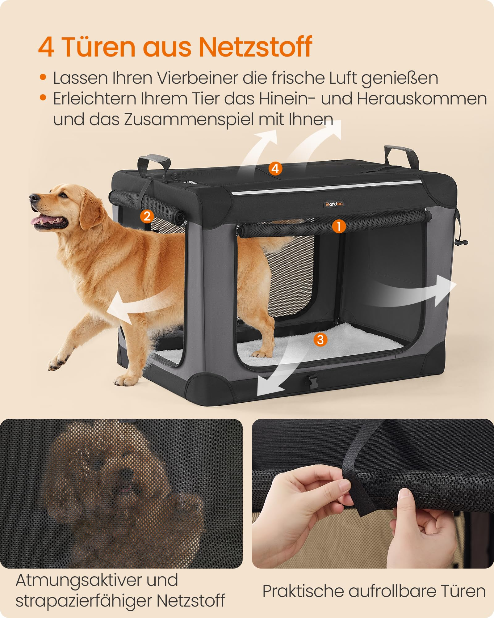 Golden Retriever entrant dans une cage pour animaux gris foncé avec des portes en filet.