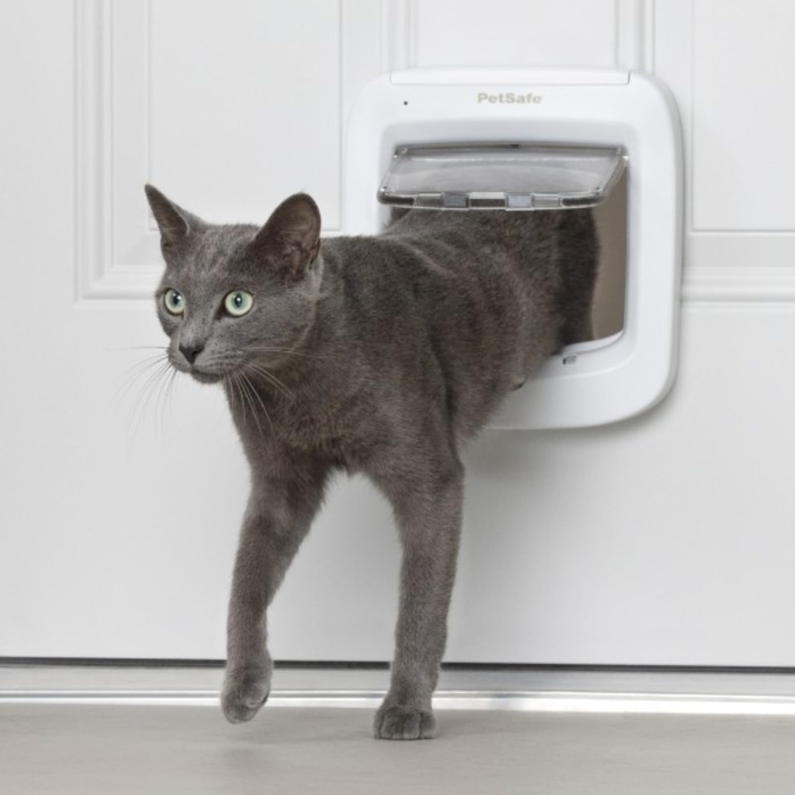 Eine graue Katze geht durch eine weiße Haustür mit einer elektronischen Katzenklappe.