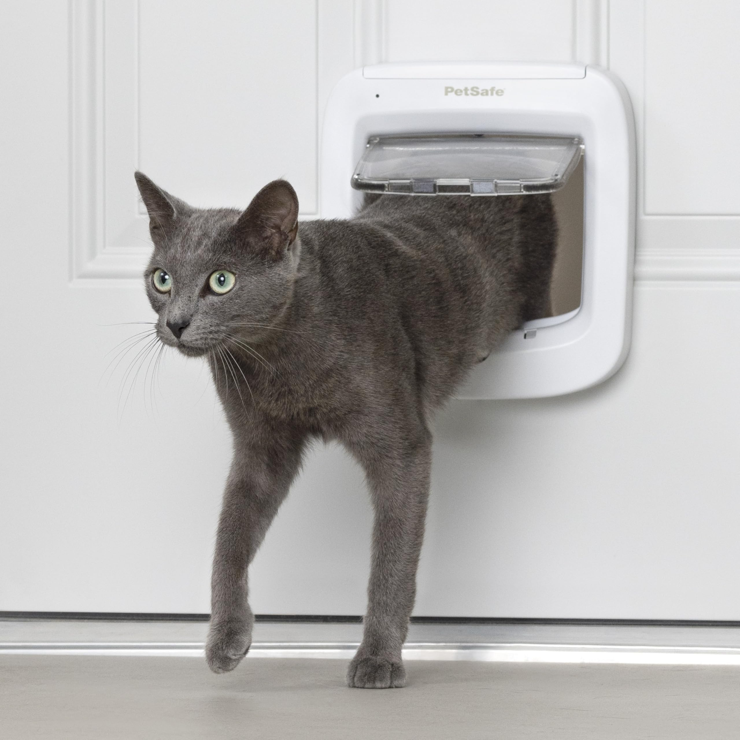 Eine graue Katze geht durch eine Haustür mit eingebauter Katzenklappe.