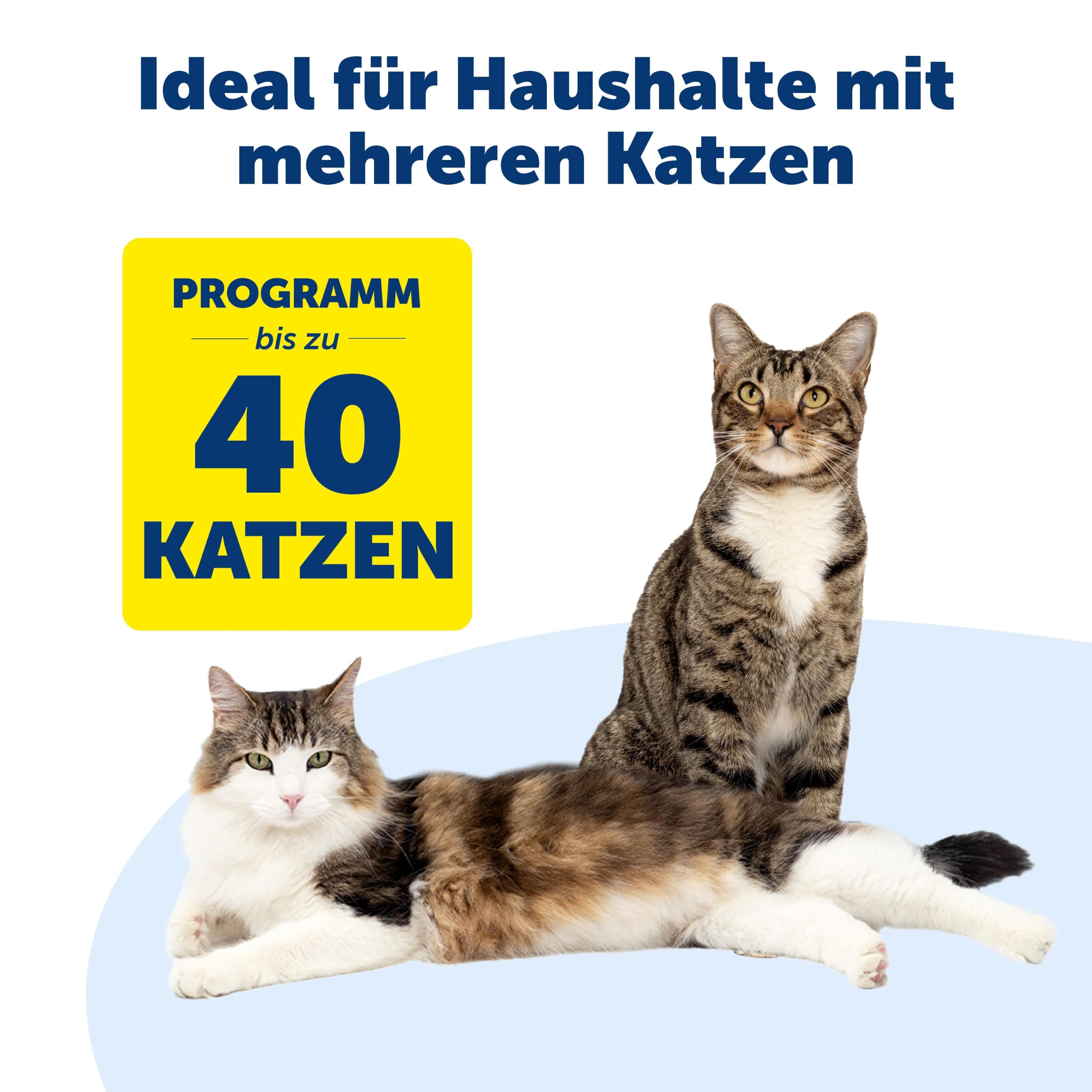 Zwei Katzen neben einem gelben Schild mit Text über Programmkapazität für bis zu 40 Katzen.
