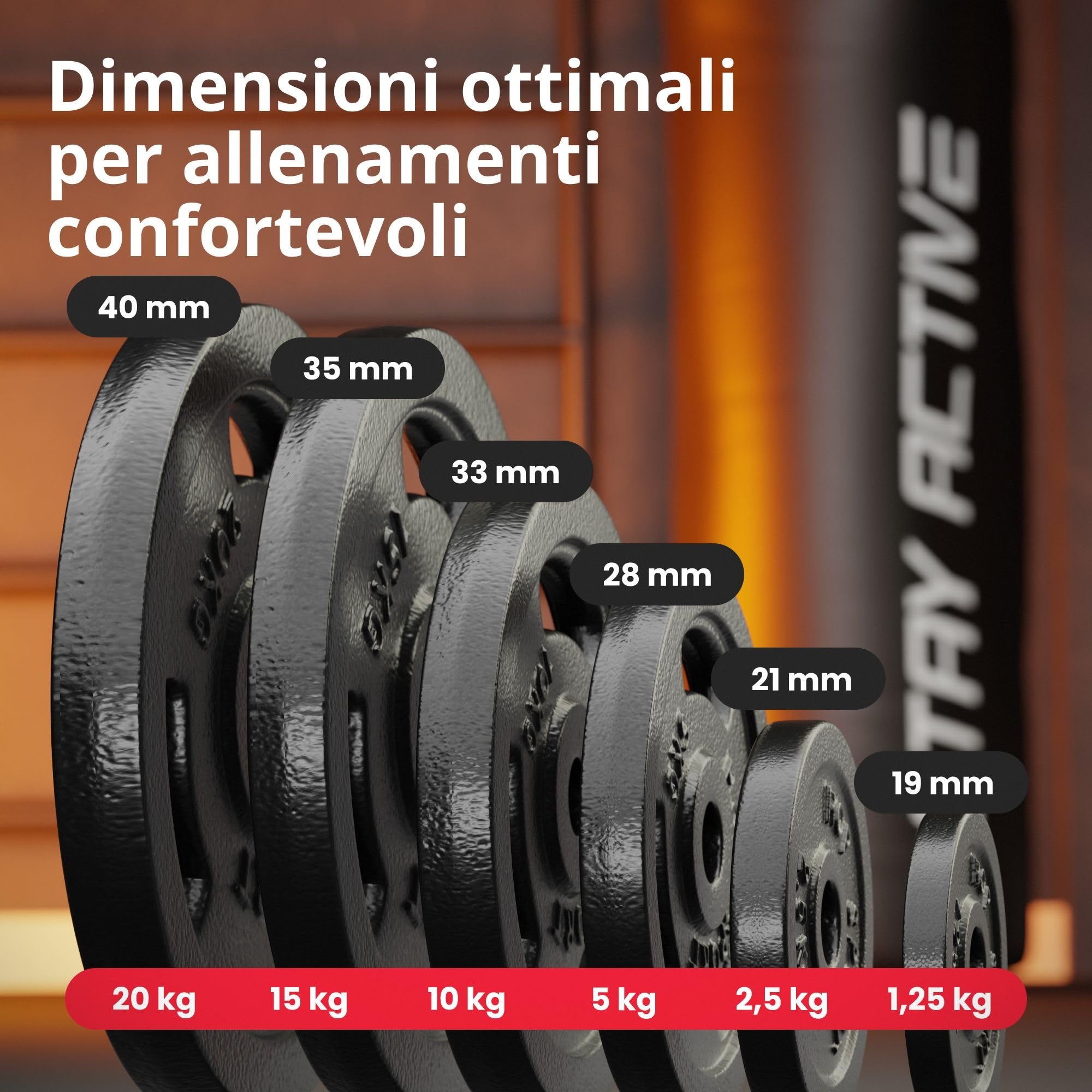 Sechs schwarze Gewichtsscheiben von 1,25 kg bis 20 kg mit Maßen auf einem Fitness-Hintergrund.