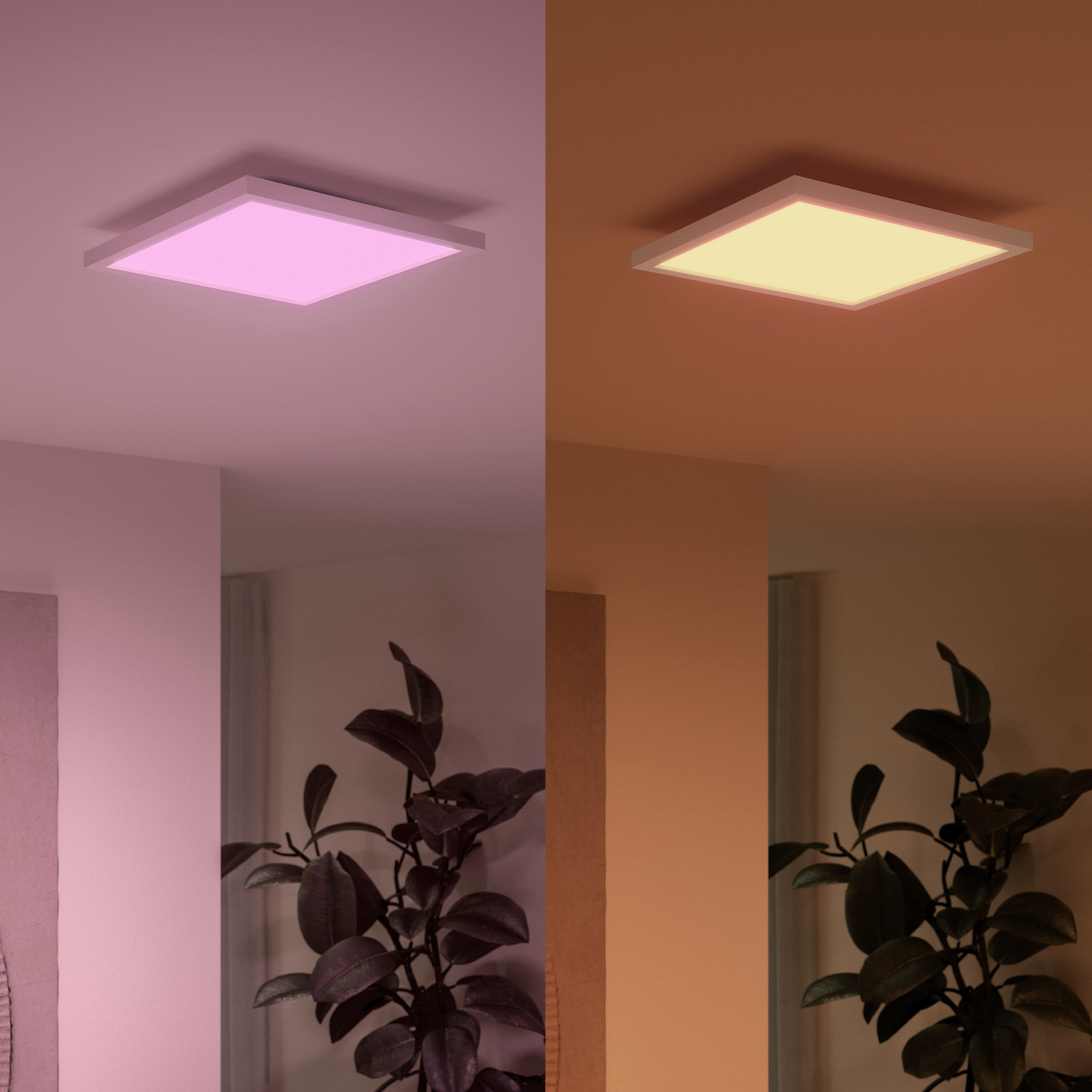 Comparaison de deux plafonniers rectangulaires avec différentes couleurs de lumière au-dessus de plantes.