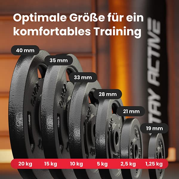 Sechs schwarze Hantelscheiben von 1,25 kg bis 20 kg sind mit Größe und Gewicht beschriftet.