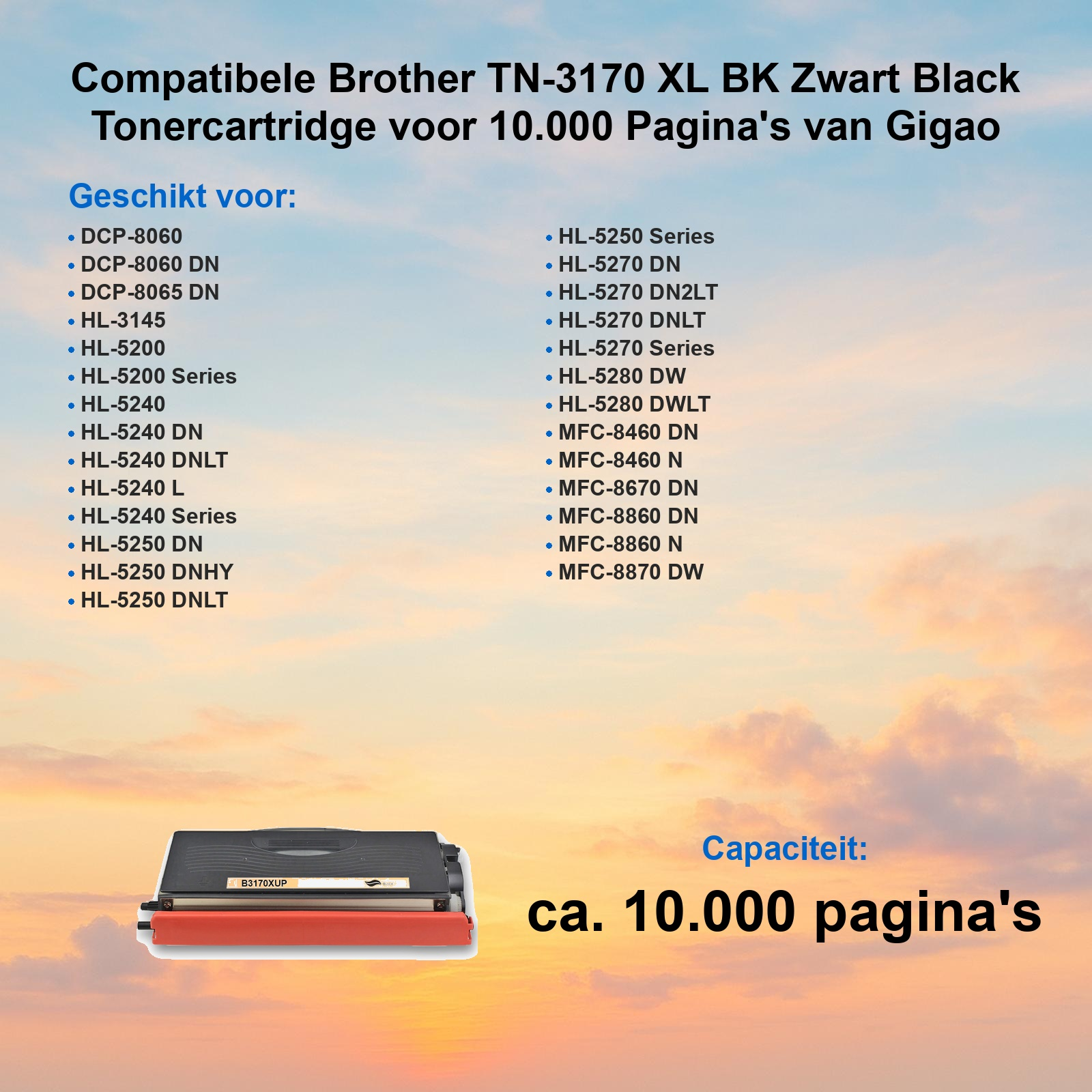 Kompatible Brother TN-3170 XL Tonerkartusche vor Sonnenuntergang.