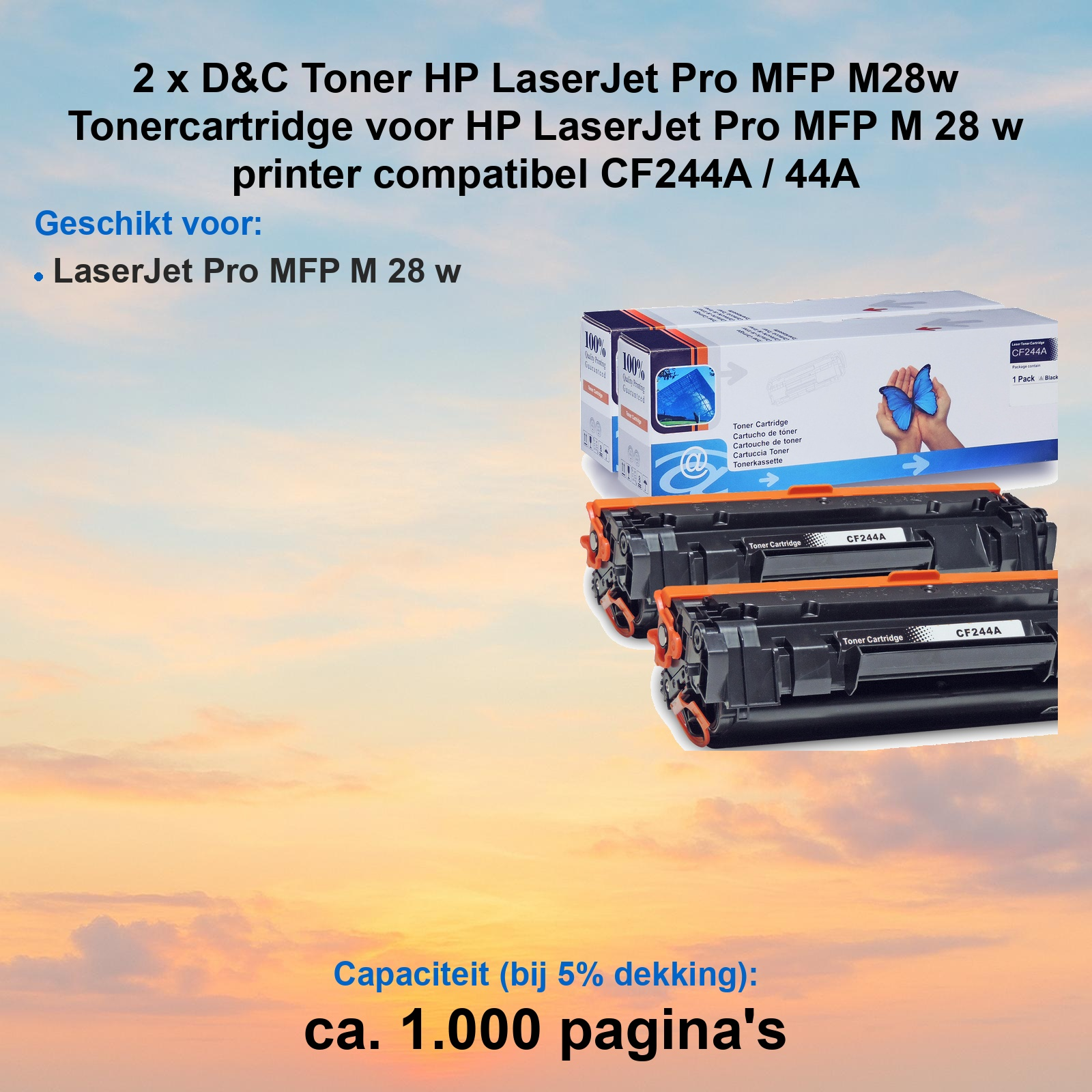 Zwei schwarze D&C-Tonerkassetten mit Verpackung vor einem Sonnenuntergangshintergrund.