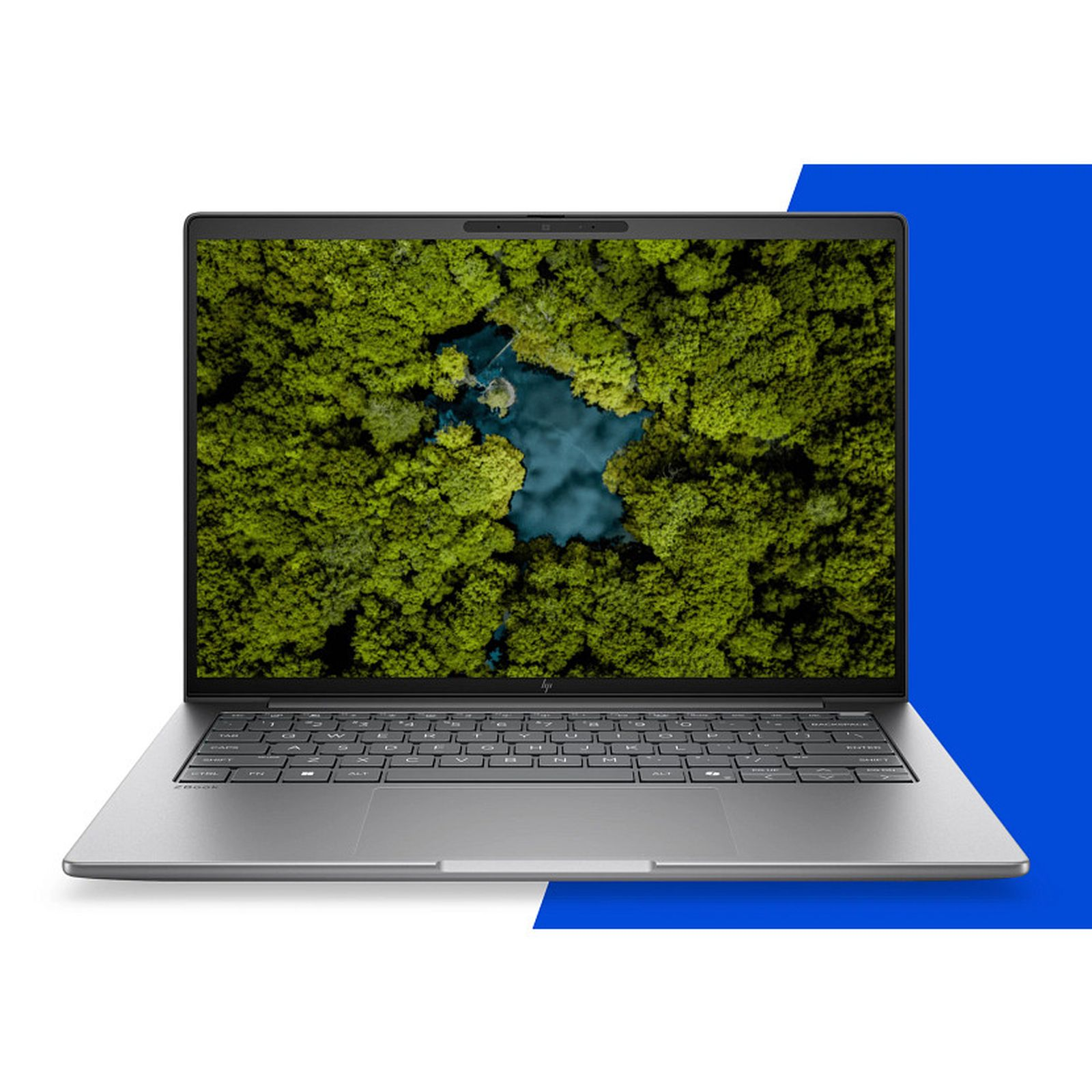 Ein silberner Laptop mit einem Waldbild auf dem Bildschirm vor blauem und weißem Hintergrund.
