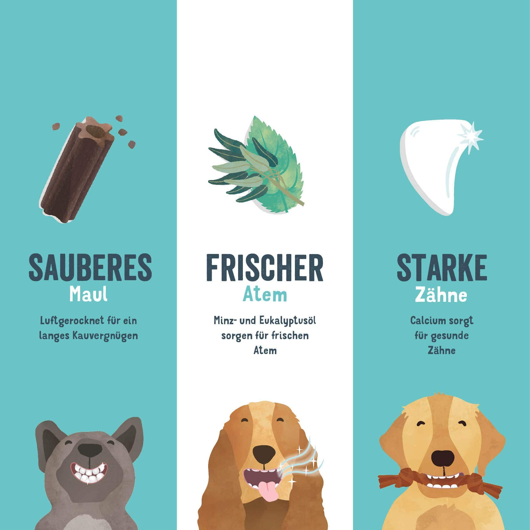Infografik zeigt Hunderbsen mit drei Vorteilen: sauberes Maul, frischer Atem und starke Zähne.