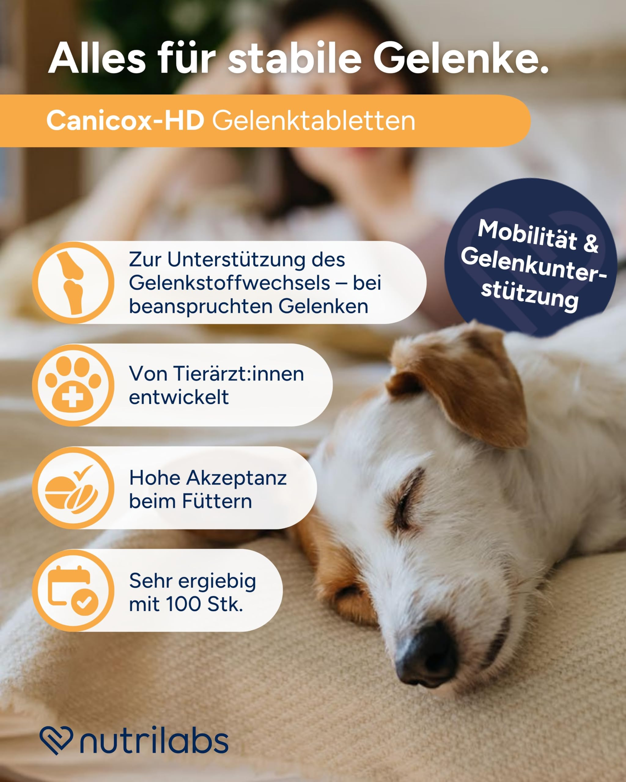 Eine Werbung für Gelenktabletten mit schlafendem Hund, deutschem Text und vier Infoboxen von nutrilabs.
