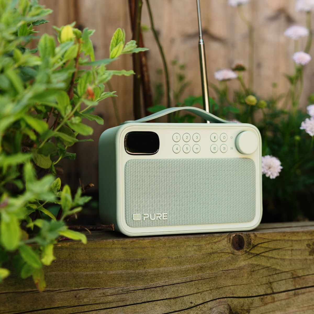 Una radio Pure verde menta se encuentra en una viga de madera en un jardín, rodeada de follaje verde y pequeñas flores blancas.