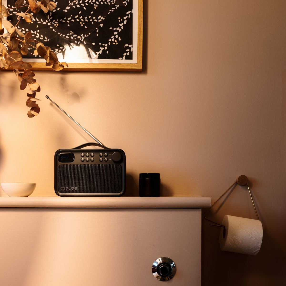 Una radio negra, flores secas, un recipiente negro y un rollo de papel higiénico sobre un mueble.
