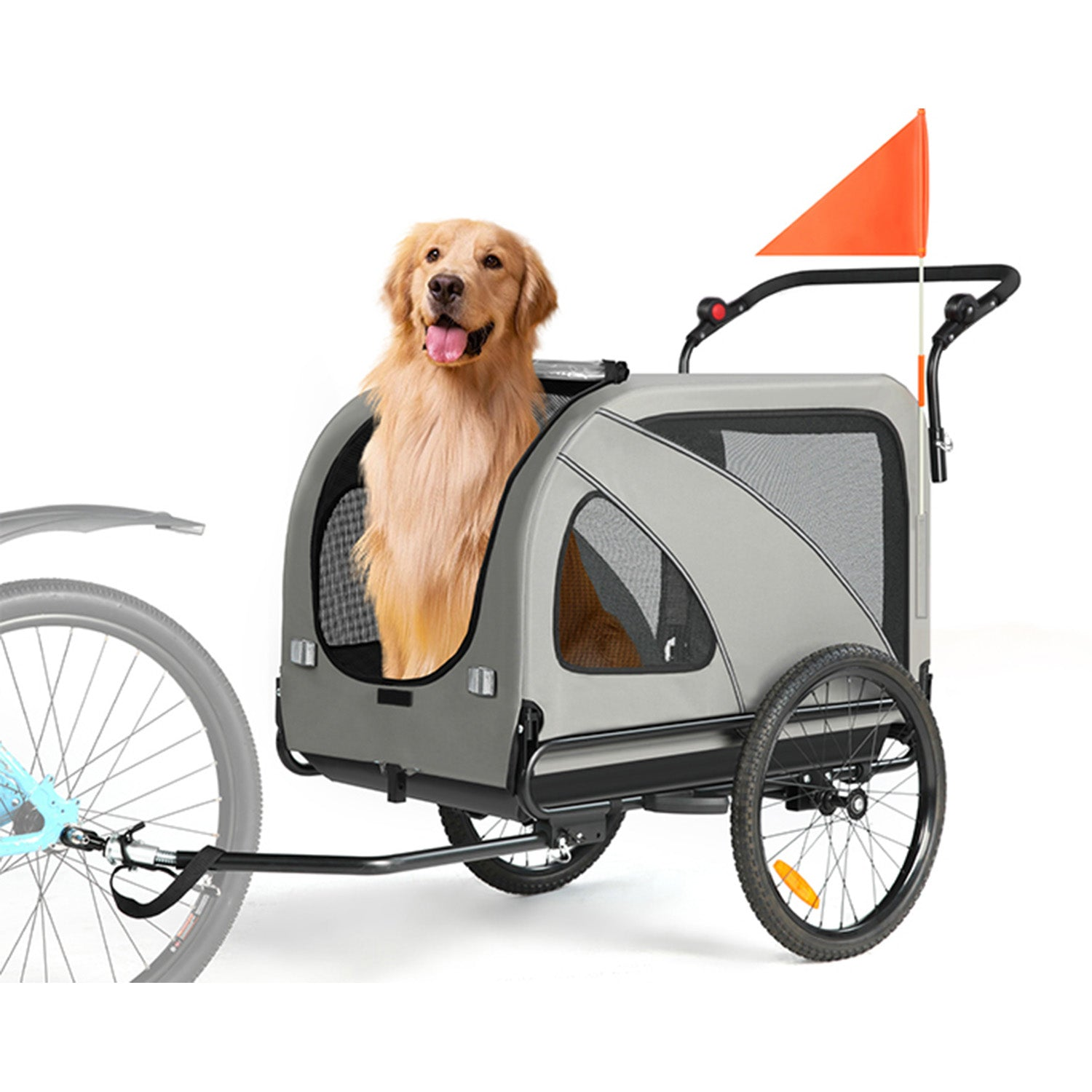 Un golden retriever sentado dentro de un remolque gris para bicicleta con bandera naranja.