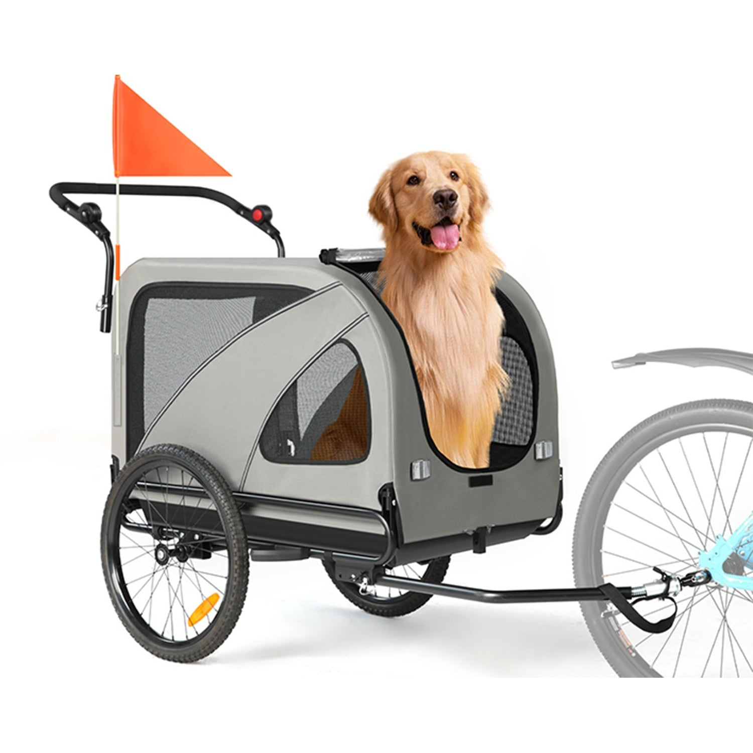 Un feliz golden retriever se sienta dentro de un remolque gris para mascotas con fondo blanco.