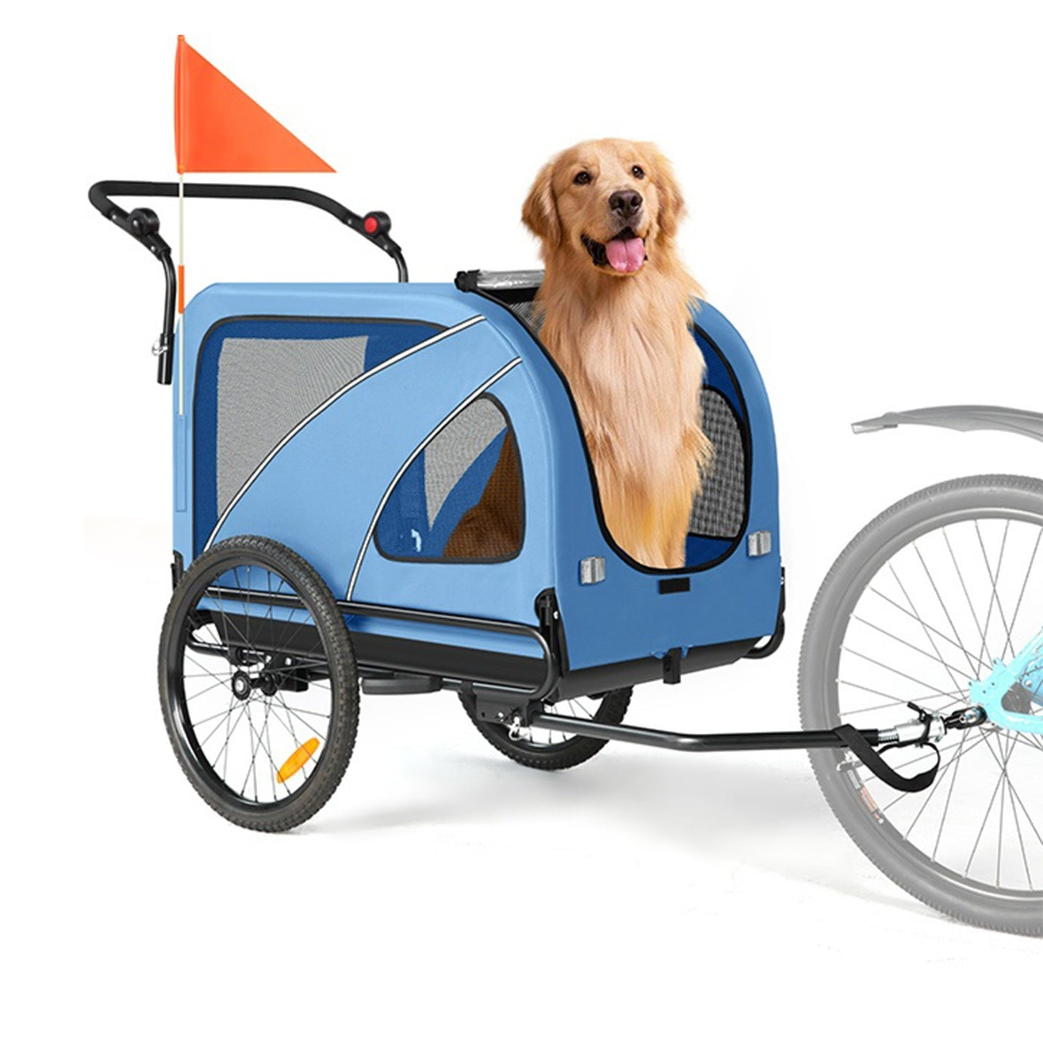 Un golden retriever se sienta dentro de un remolque de bicicleta para mascotas azul y negro con una bandera naranja.