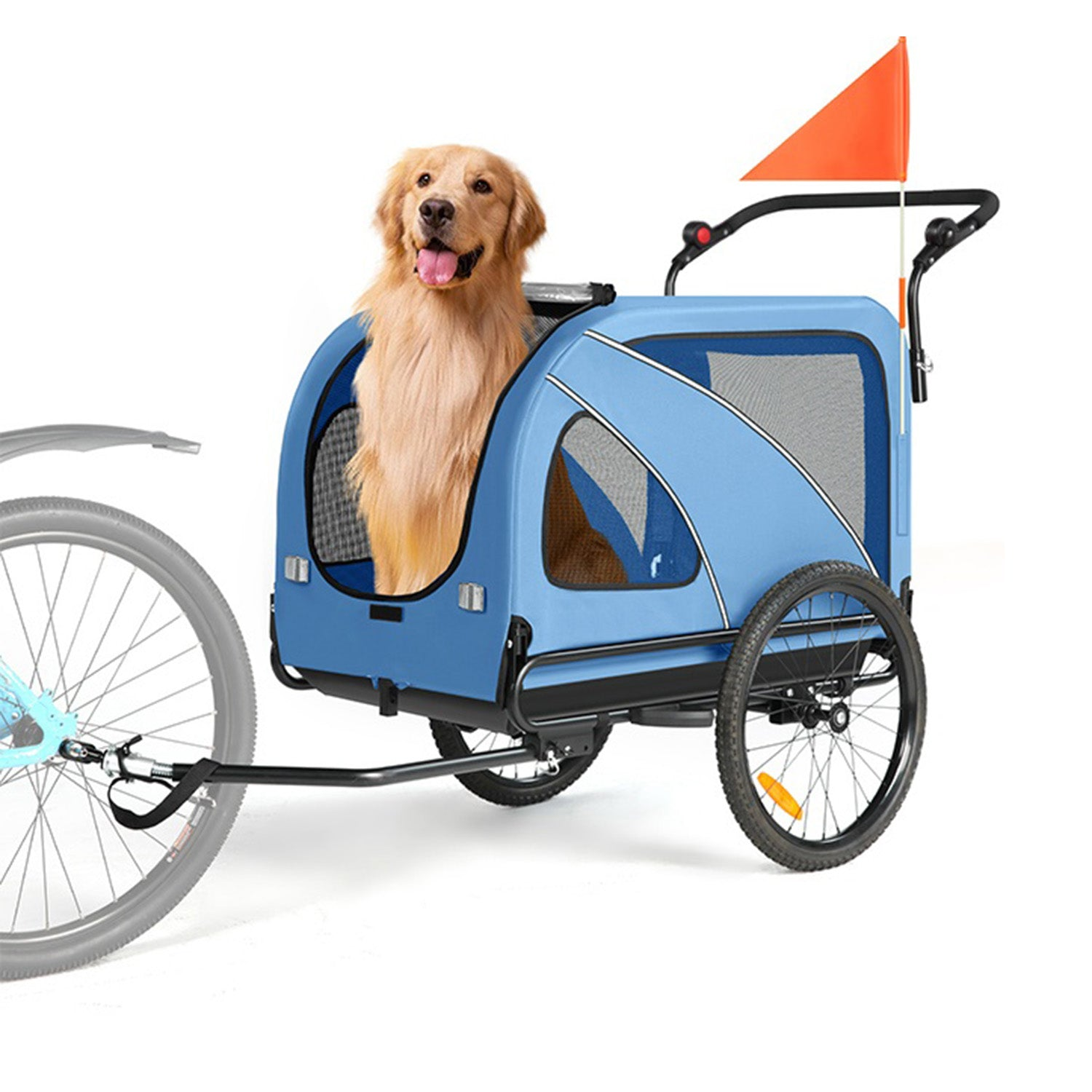 Un golden retriever se sienta en un remolque azul para mascotas con una bandera de seguridad naranja.