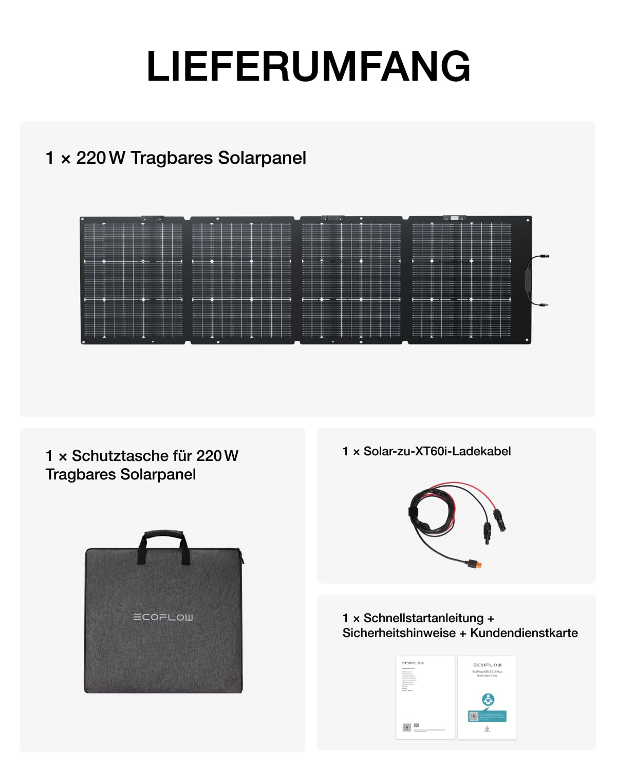Lieferumfang mit 220W Solarpanel, Schutztasche, Ladekabel und Handbüchern.
