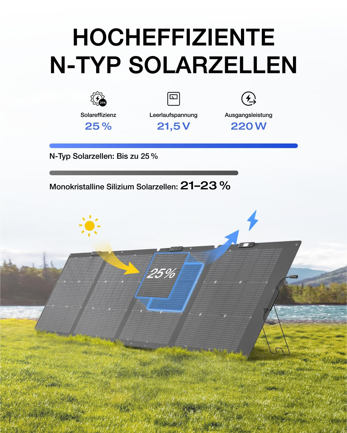 Diagramm zeigt hocheffiziente N-Typ Solarzellen mit 25 Prozent Effizienz, aufgestellt auf einer Wiese am Wasser.