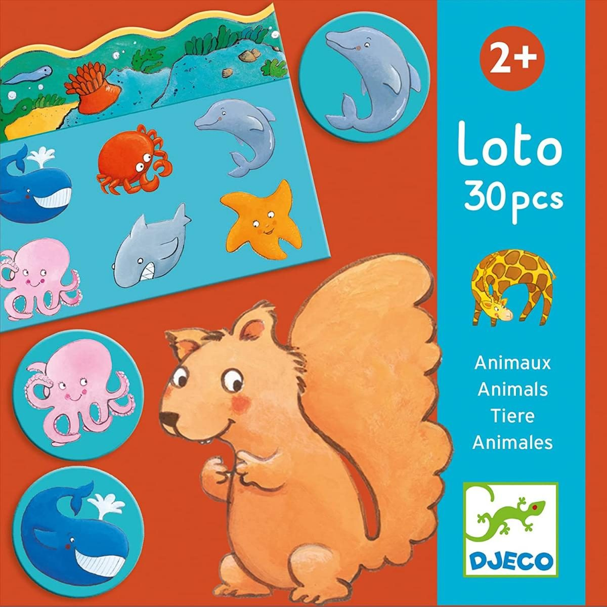 Une boîte de jeu Djeco Loto montre un écureuil, des jetons d'animaux marins et le texte Loto 30 pcs dès 2 ans.