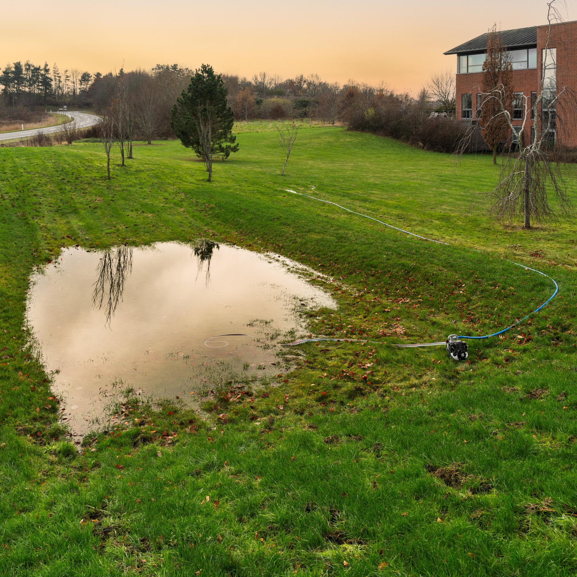 Eine Wasserpumpe mit einem blauen Schlauch steht auf Gras an einem Teich.
