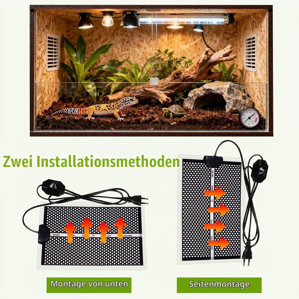 Ein Terrarium mit Gecko, Schildkröte, Pflanzen und Lampen über zwei Heizmatten-Installationsmethoden.
