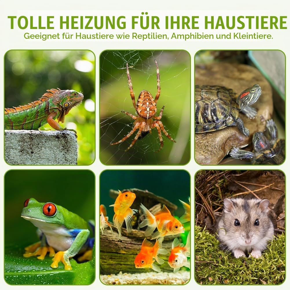 Sechs Bilder zeigen Haustiere wie Iguana, Spinne, Schildkröte, Frosch, Goldfische und Hamster auf grünem Hintergrund.