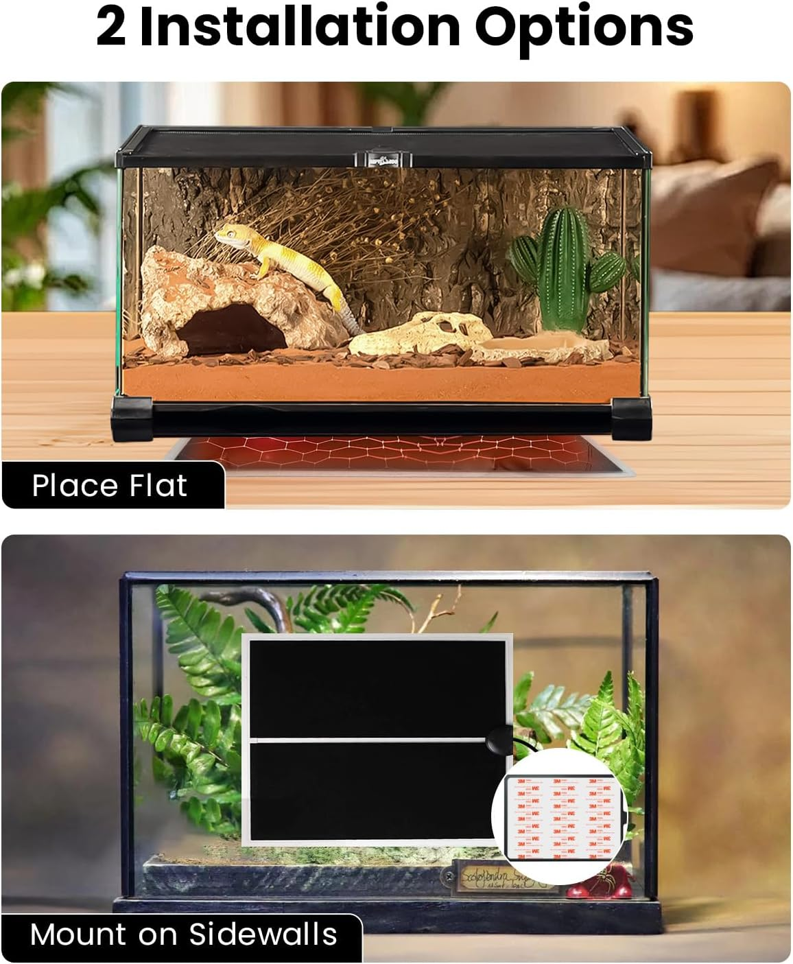 Zwei Installationsoptionen für ein Reptilienterrarium: flach aufstellen oder an Seitenwänden montieren.