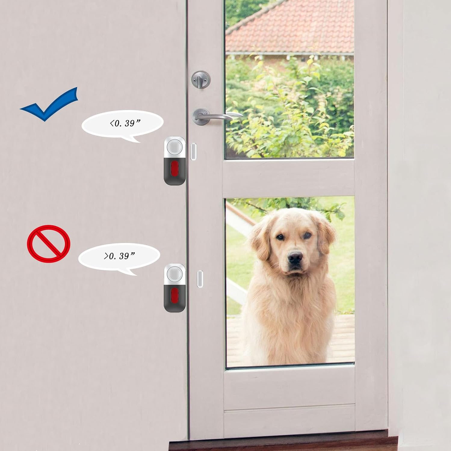 Ein goldener Retriever sitzt hinter einer Glastür, daneben Infografiken zu Abständen eines Schlossgeräts.