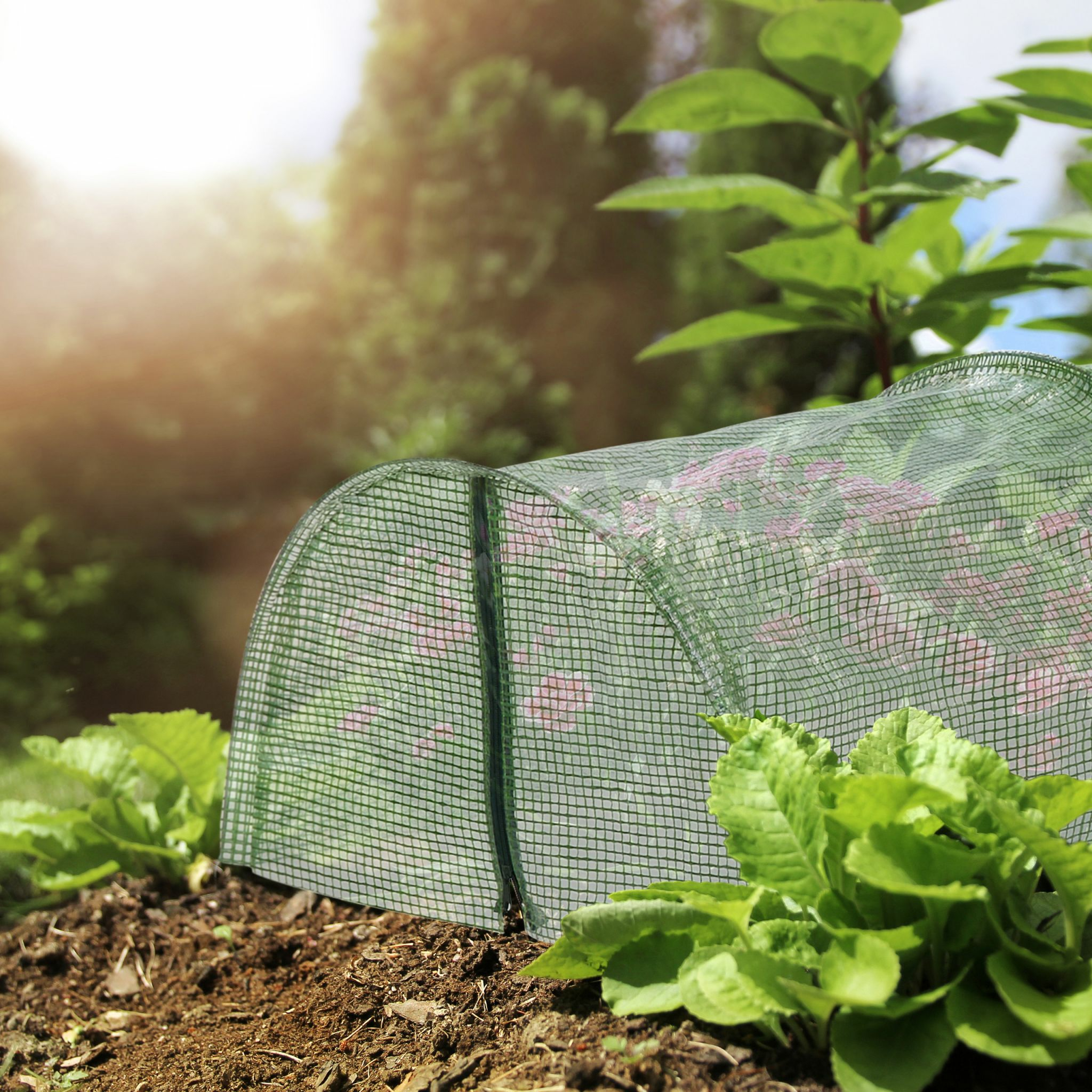 Ein kleiner grüner Gewächshaustunnel im Garten mit frischen Pflanzen in der Sonne.