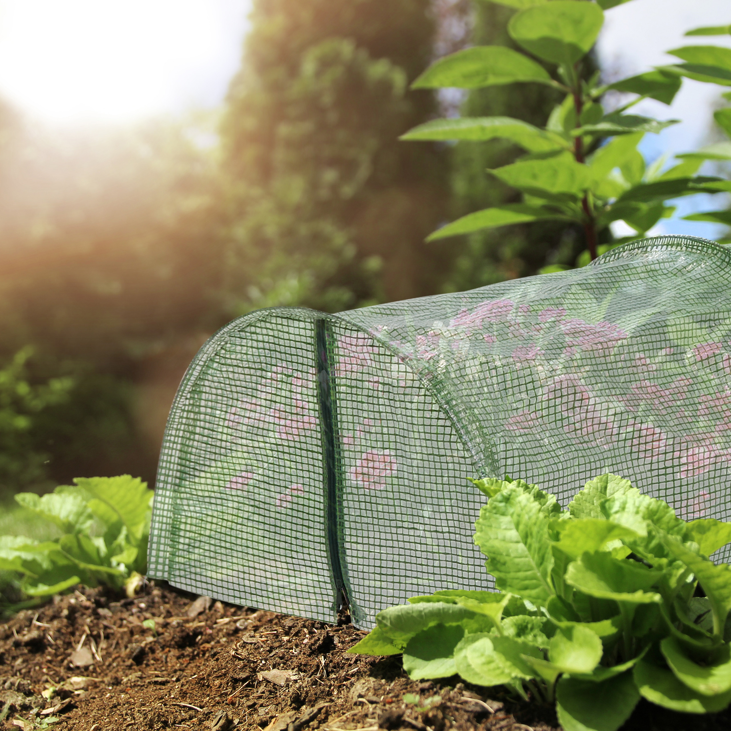 Ein grüner Gewächshaustunnel schützt Pflanzen in einem sonnigen Garten.