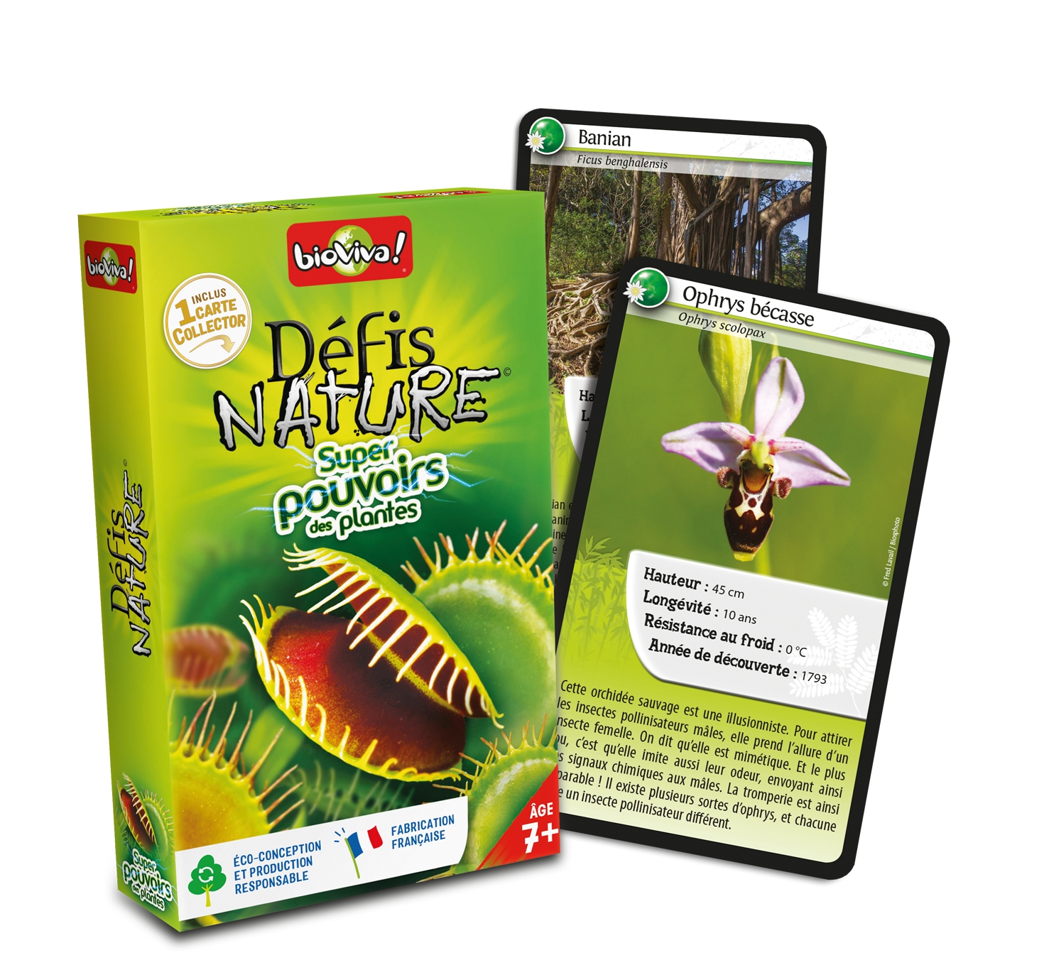 Eine grüne Bioviva-Kartenspielschachtel mit Venusfliegenfallen und zwei Naturkarten mit einem Banyan und einer Orchidee.