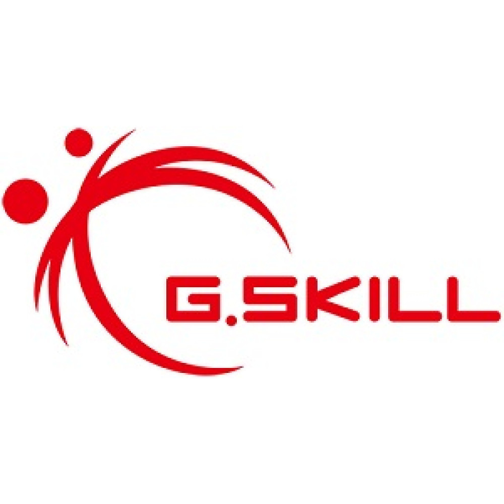 Rotes G.SKILL Logo mit einer abstrahierten menschlichen Figur auf weißem Hintergrund.