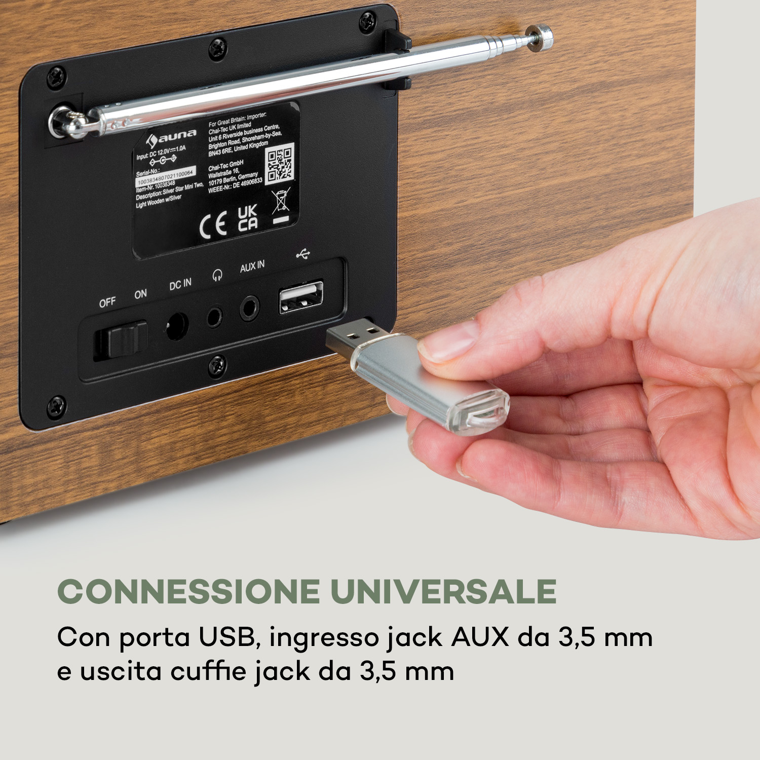 Hand steckt einen USB-Stick in den USB-Anschluss auf der Rückseite eines Holzradios.