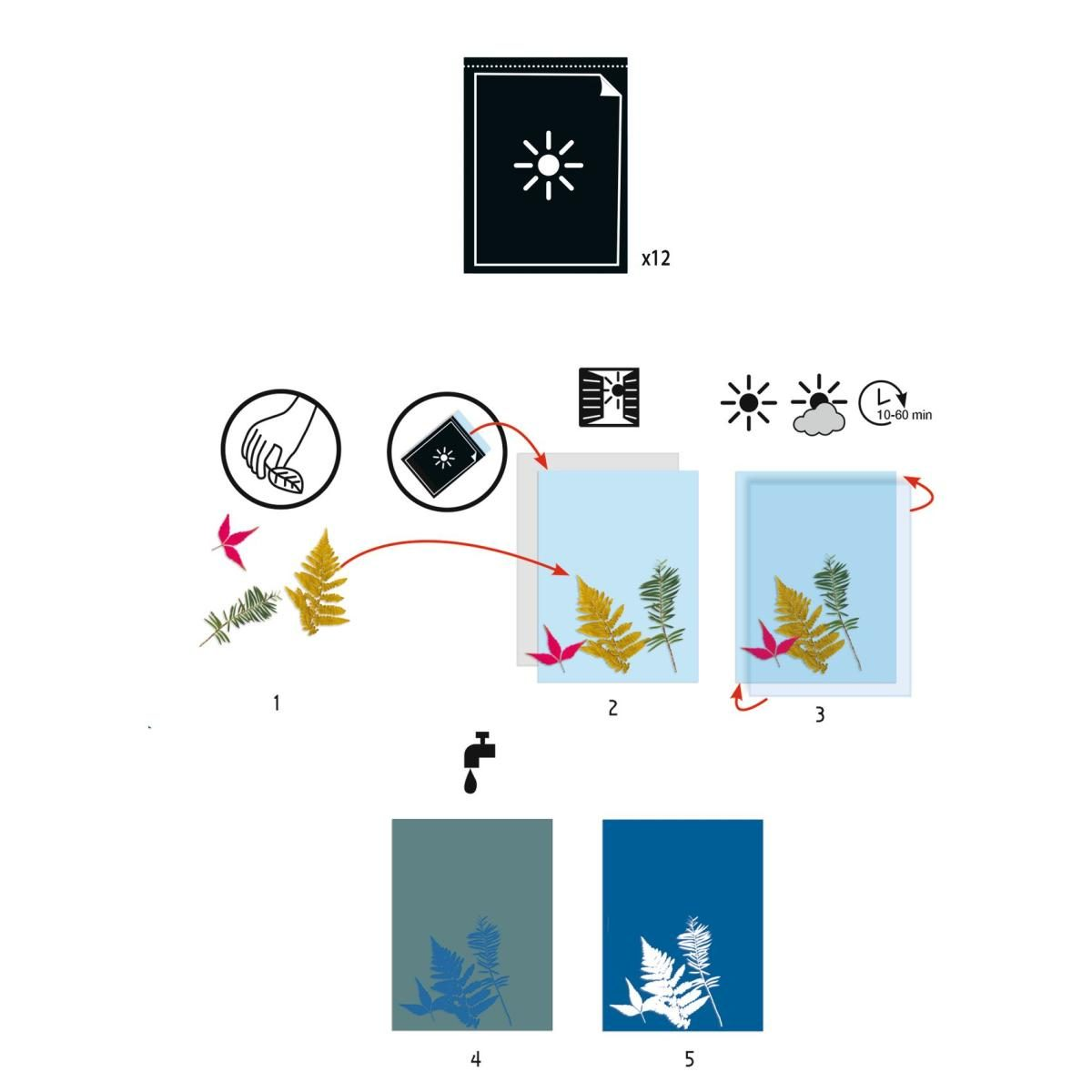 Anleitung zur Erstellung von Sonnenkunst mit Blättern, Papier, Sonneneinstrahlung und Wasser.