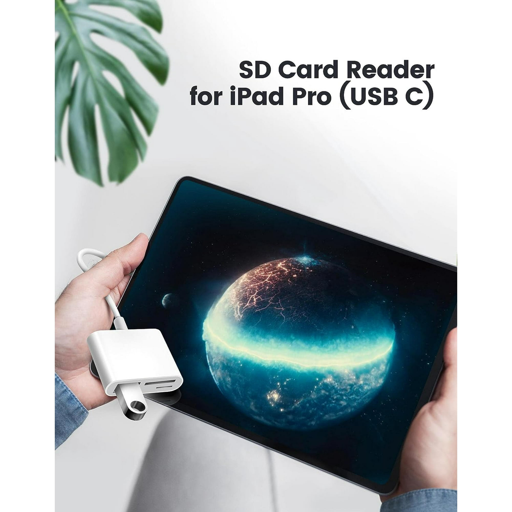 Eine Person hält ein iPad Pro und einen weißen USB-C-Kartenleser mit USB-Stick, im Hintergrund grüne Blätter.