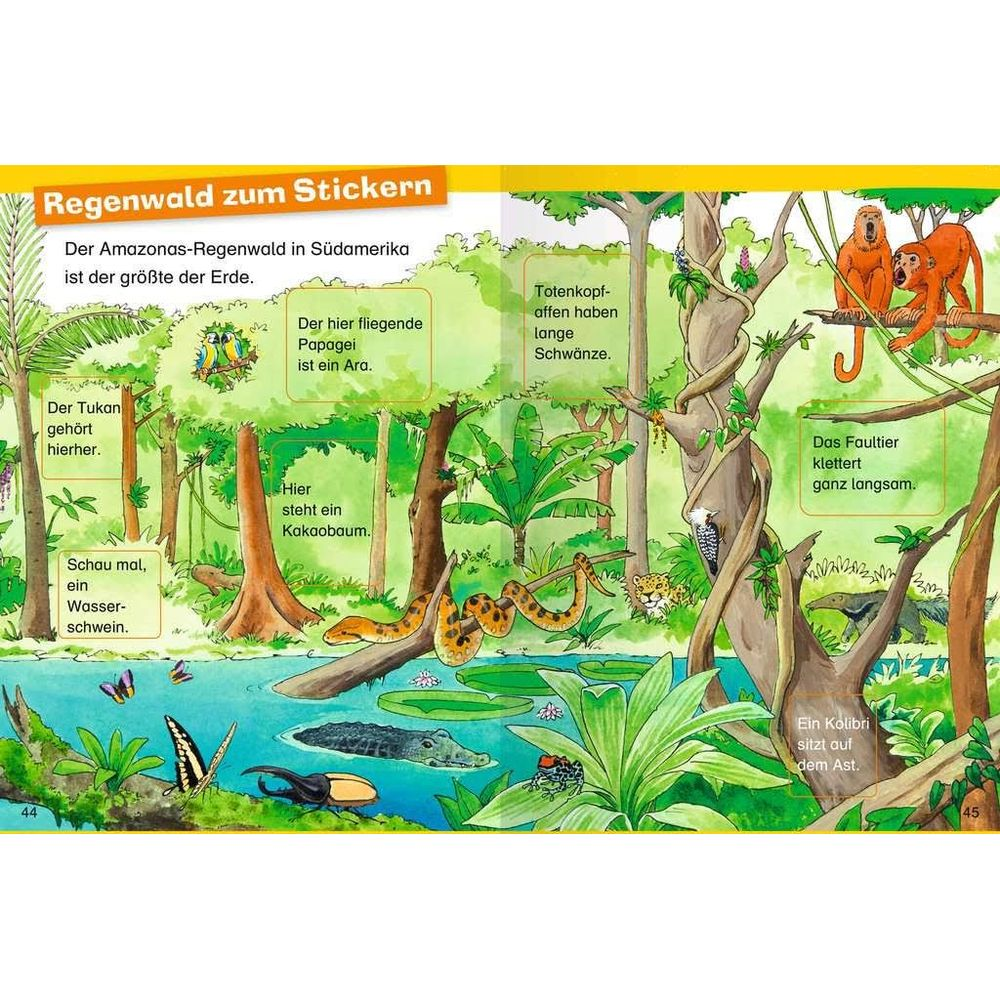 Bunte Illustration des Amazonas-Regenwalds mit Tieren und Pflanzen sowie deutschen Erklärtexten.