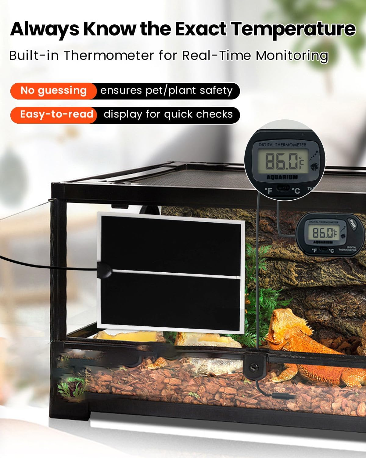 Ein Reptilienterrarium mit digitalem Thermometer zeigt 86,0°F, mit einer Bartagame im Holzspäne-Substrat.