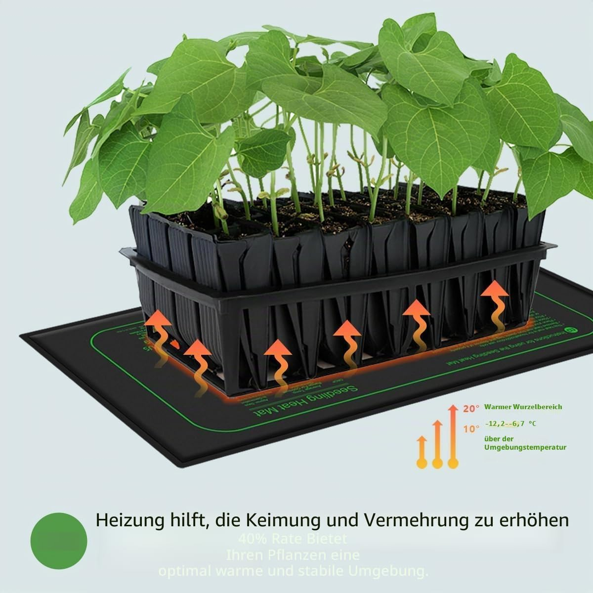 Grüne Keimlinge in schwarzen Pflanzschalen stehen auf einer schwarzen Heizmatte mit aufsteigenden Wärmesymbolen.
