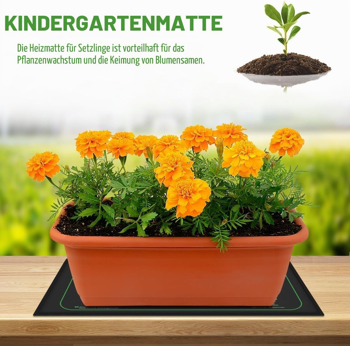 Ein orangefarbener Pflanzkübel mit leuchtend orangefarbenen Tagetes steht auf einer Sämlings-Heizmatte.