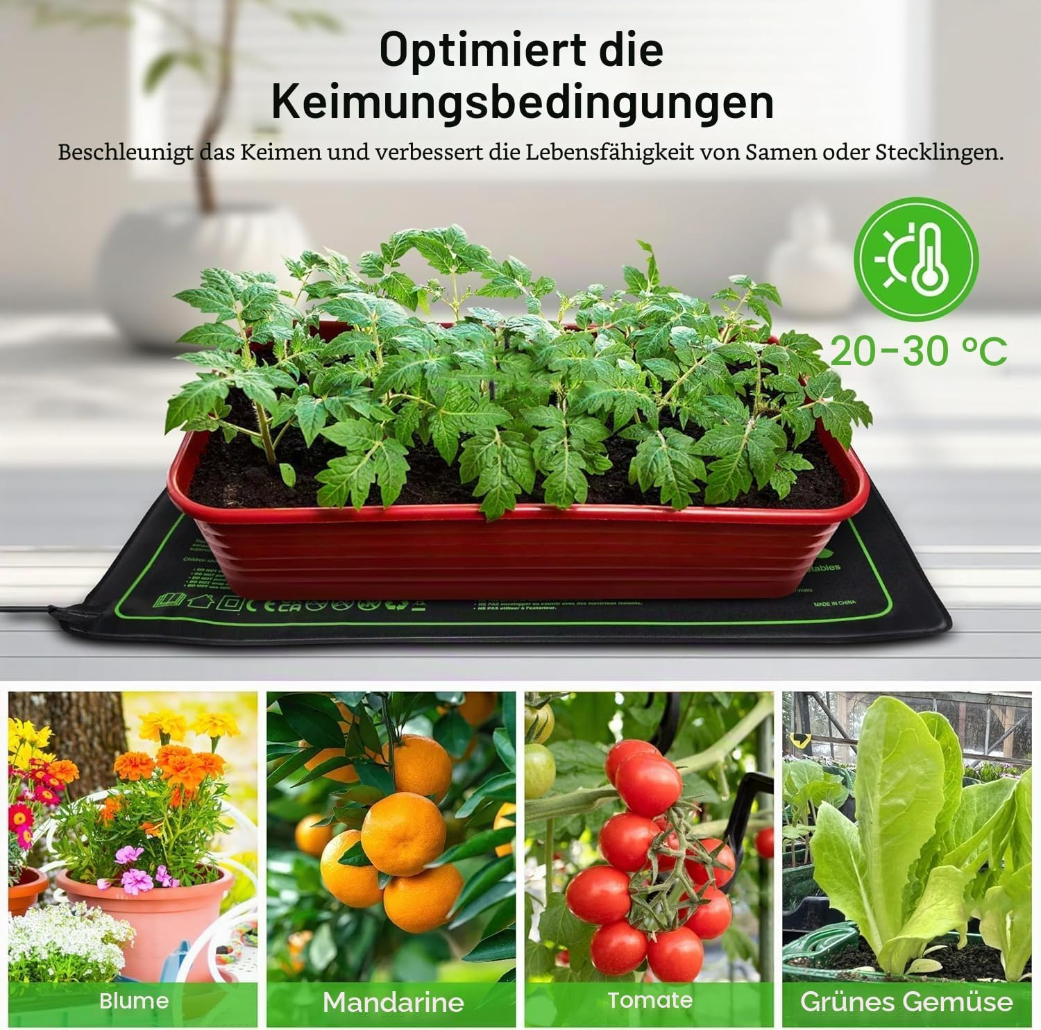 Rote Pflanzschale mit Keimlingen auf Heizmatte. Unten vier Bildausschnitte mit Blume, Mandarine, Tomate, Salat.