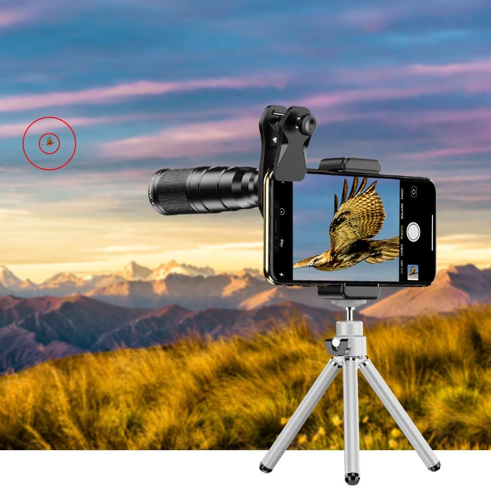 Smartphone auf einem Stativ mit Teleobjektiv zeigt ein fliegendes Adlerbild vor einer Berglandschaft.
