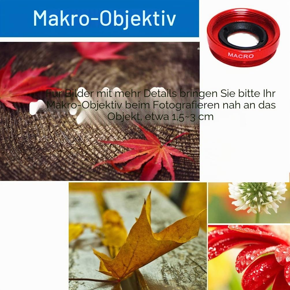 Makro-Objektiv Anleitung mit roten Ahornblättern auf Holz und Nahaufnahmen.