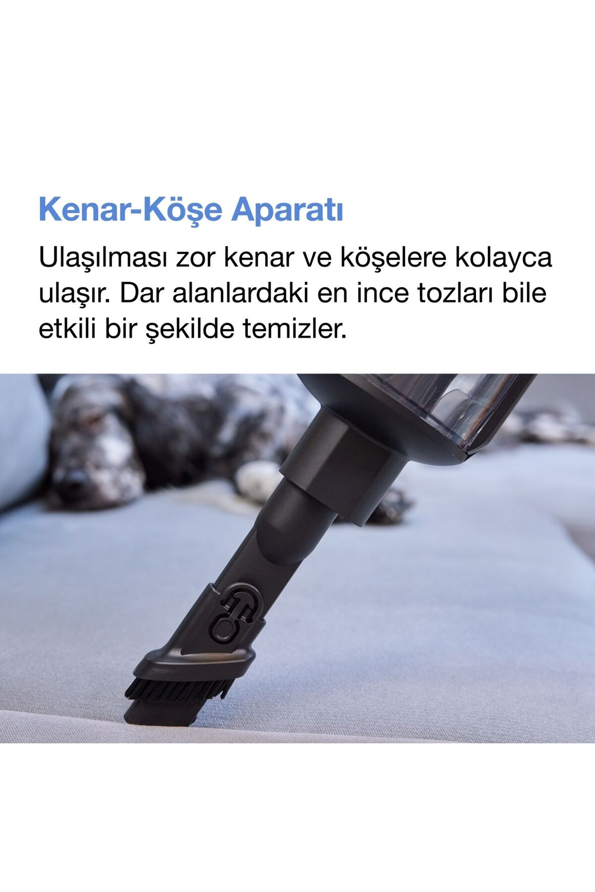 Arka planda bulanık bir köpekle gri koltuğu temizleyen siyah kenar köşe aparatı.