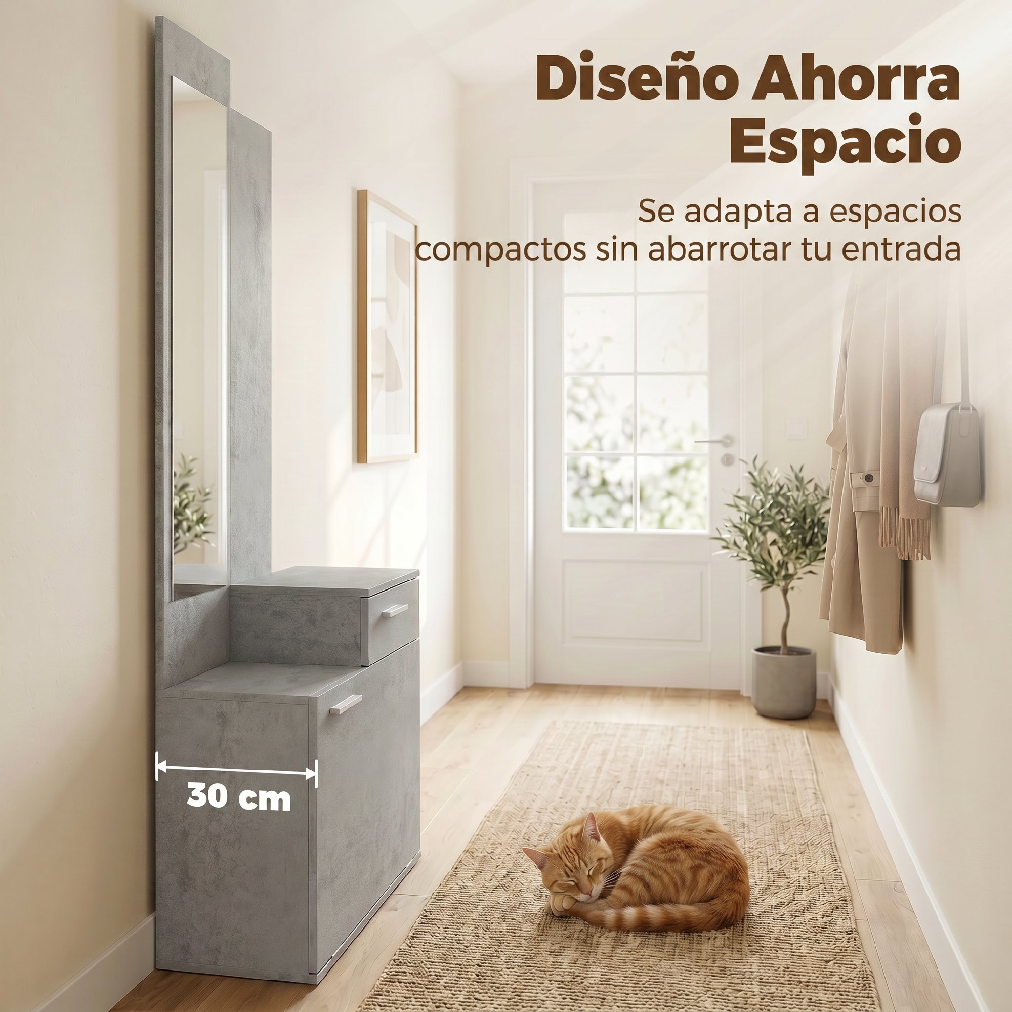 Pasillo con mueble gris con espejo, gato en alfombra y texto en español.